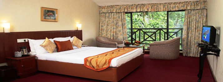 1390/Abad Copper Castle - Munnar 10.jpg